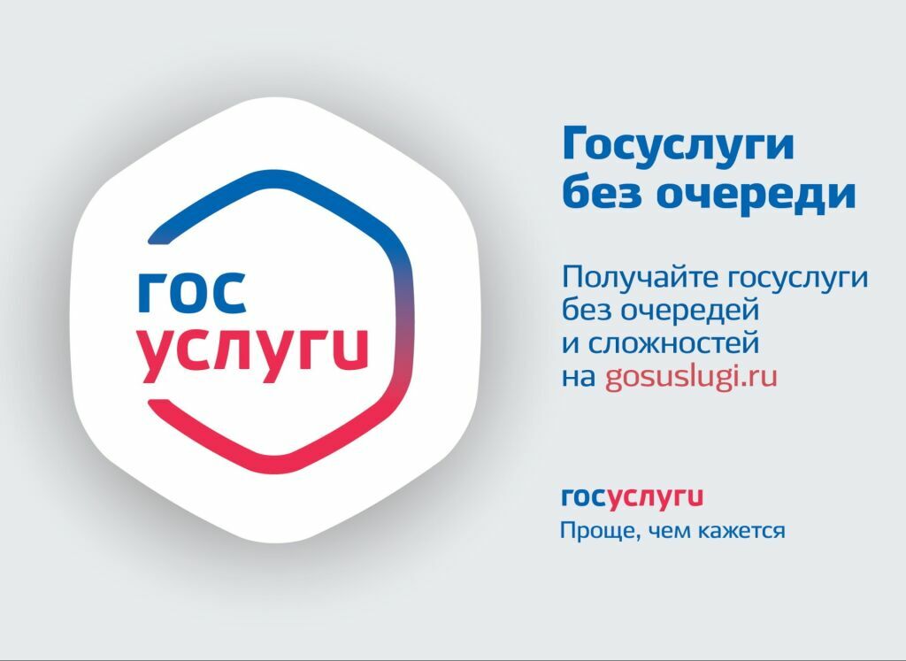 Жителям Камчатки доступны в электронной форме все социально значимые госуслуги